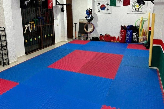 Imagen 2 de la galería del partner MDK Fco de Montejo