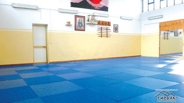 Immagine 1 dalla galleria del partner Shodan Monari