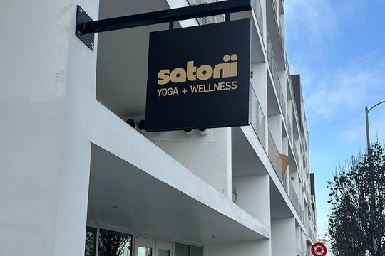 Image 2 from Satorii Yoga + Wellness partner gallery