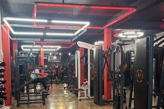 Imagem 1 da galeria do parceiro Life Stillus