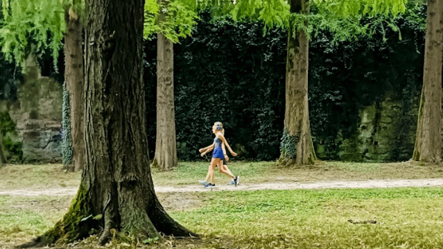 Immagine 2 dalla galleria del partner Italent Fitness Isola Carolina