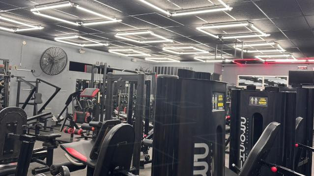 Imagem 1 da galeria do parceiro New Life