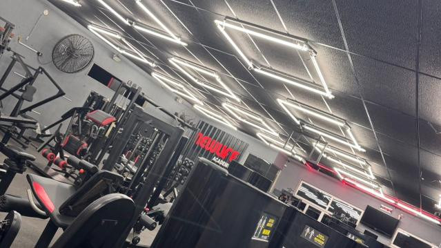 Imagem 3 da galeria do parceiro New Life