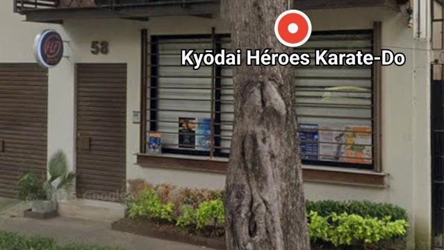 Imagen 2 de la galería del partner Kyōdai Héroes Karate-Do