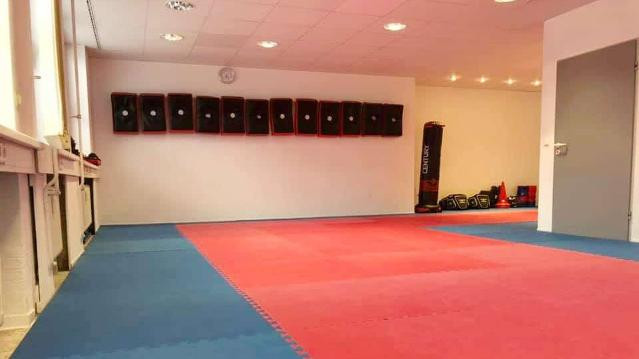 Bild 1 von Krav Maga RSC Stralsund Partnergalerie