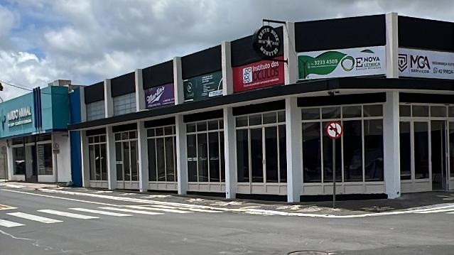 Imagem 2 da galeria do parceiro Team Passos Kickboxing