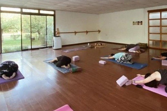 Imagen 2 de la galería del partner Anahata TERAPÉUTICA