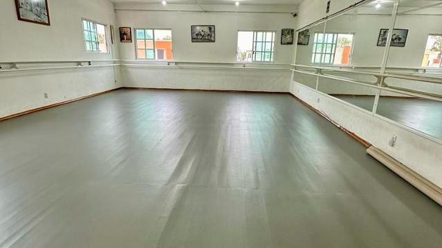 Imagen 3 de la galería del partner Studio Danzaré