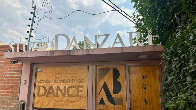 Imagen 2 de la galería del partner Studio Danzaré