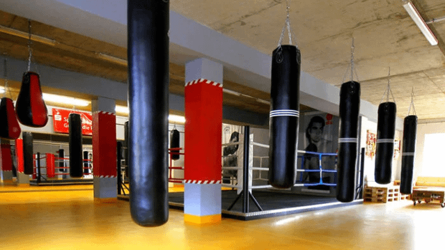 Bild 2 von KSSV Zwickau e.V. Partnergalerie