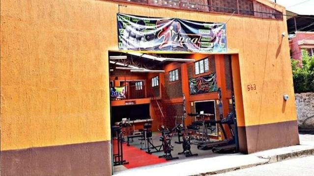 Imagen 2 de la galería del partner Línea Gym