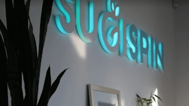 Image 2 de la galerie du partenaire SUGISPIN STUDIO