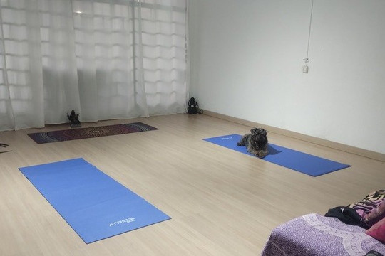 Imagem 1 da galeria do parceiro Sraddha Yoga