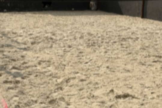 Imagem 3 da galeria do parceiro Arena Zero Um