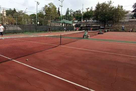 Imagen 2 de la galería del partner TOP TENIS MX