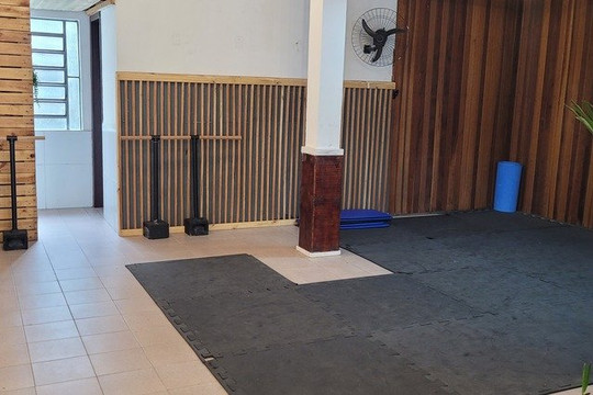 Imagem 3 da galeria do parceiro Studio Integrativa: Acupuntura e Pilates em Guaíba RS