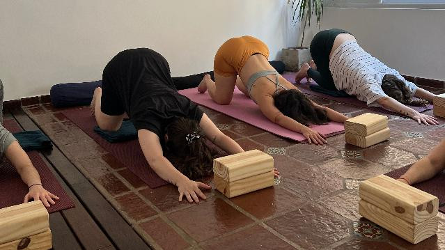 Imagen 1 de la galería del partner FitFlow Yoga