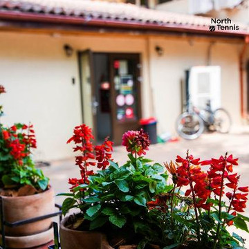 Imaginea 1 din North Tennis galeria partenerului