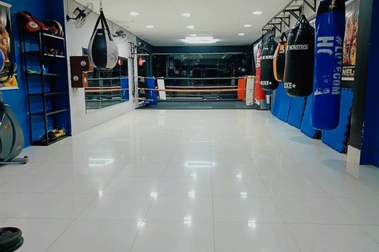 Imagem 1 da galeria do parceiro Fabrica de Monstros Boxe