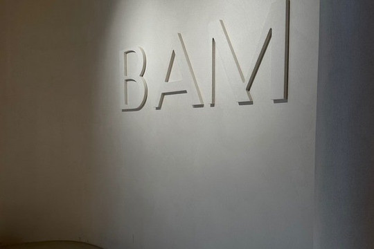 Imagen 1 de la galería del partner Bam Labs