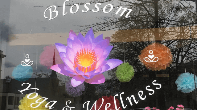 Image 2 from Blossom Yoga & Wellness partner gallery