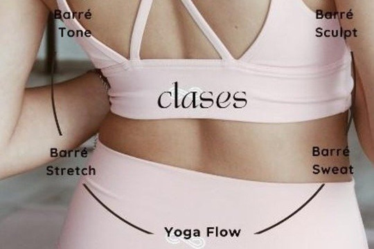 Imagen 3 de la galería del partner Movement Barre Studio