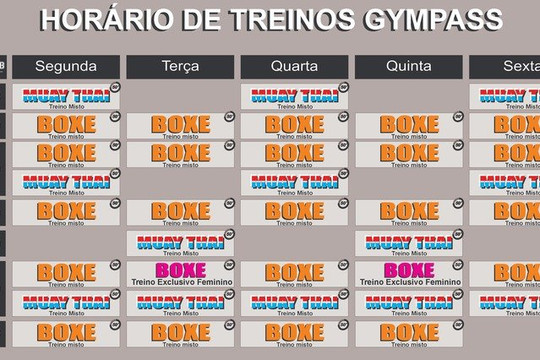 Imagem 1 da galeria do parceiro Boxe Training Club