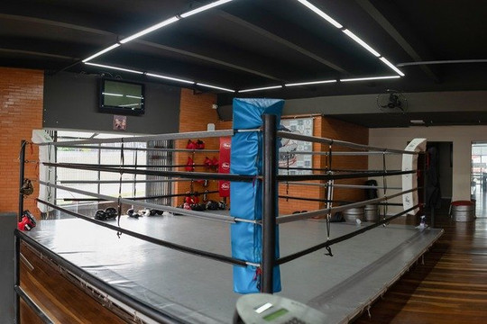 Imagem 3 da galeria do parceiro Boxe Training Club