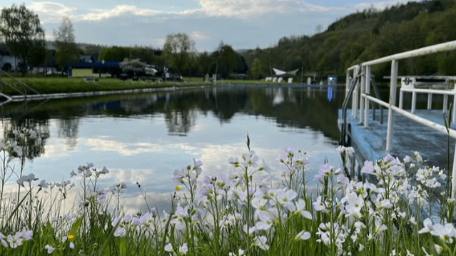 Bild 3 von Naturfreibad Müsen Partnergalerie