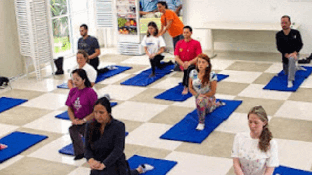 Imagem 1 da galeria do parceiro Maha Surya - Yoga & Terapia
