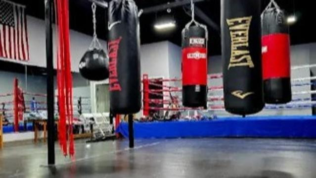 Image 3 from BVL Boxing Solutions partner gallery