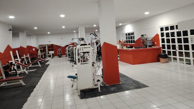 Imagen 2 de la galería del partner Leo Gym