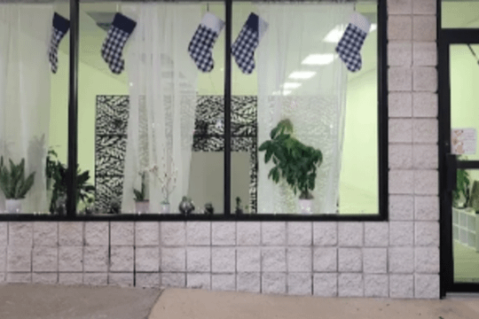 Image 3 from ReRoot. Yoga partner gallery