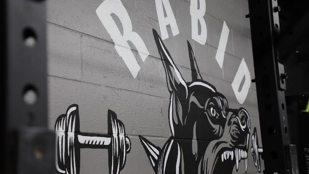 Image 3 from Rabid Training partner gallery