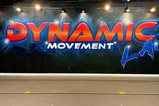 Image 2 from Dynamic Movement LA partner gallery