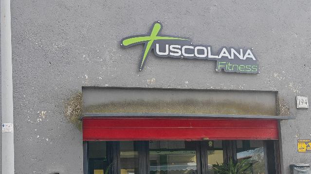 Immagine 2 dalla galleria del partner Tuscolana Fitness