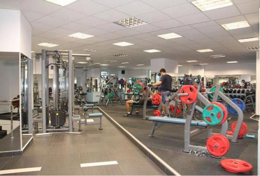 Imaginea 1 din Professional Gym galeria partenerului