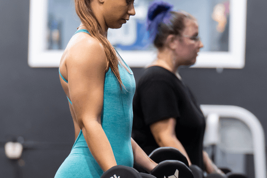 Image 3 from Bommarito Performance Systems - Davie partner gallery