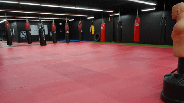 Image 2 de la galerie du partenaire Platinum Training Facility