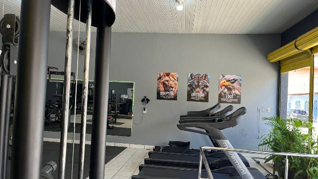 Imagem 3 da galeria do parceiro Academia Força A