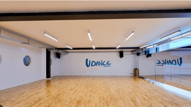 Imagem 1 da galeria do parceiro UDance School