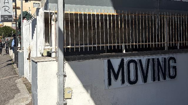 Immagine 2 dalla galleria del partner Moving pole and dance