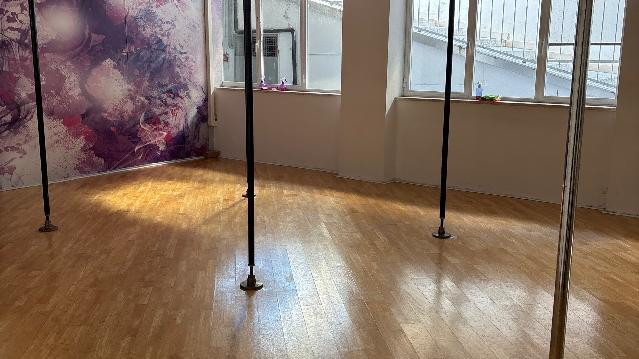 Immagine 1 dalla galleria del partner Moving pole and dance