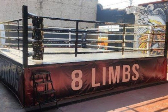 Imagen 1 de la galería del partner 8 Limbs Thai Boxing
