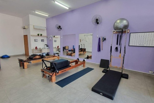 Imagem 1 da galeria do parceiro Michele Munhoz Pilates