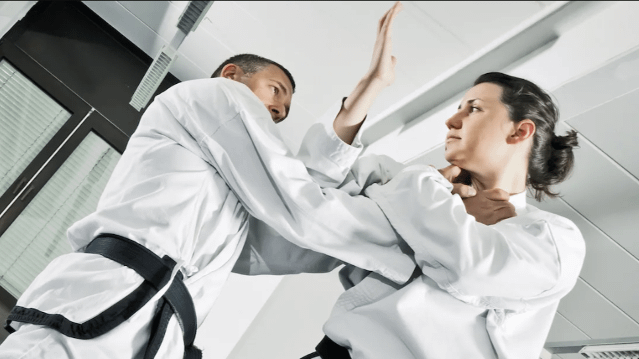 Imagem 3 da galeria do parceiro Barrington Tiger Academy