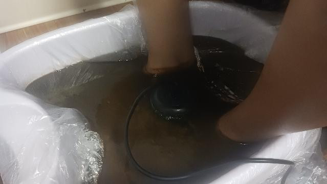 Image 3 from Crowning The Starz LLC partner gallery