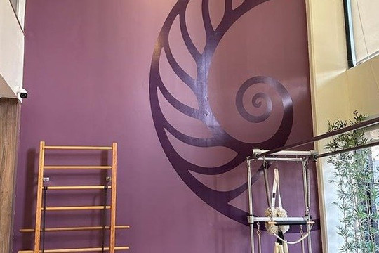 Imagem 1 da galeria do parceiro AYA Pilates