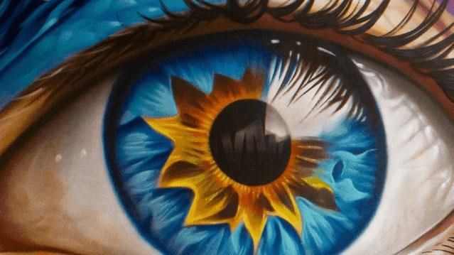 Imagen 1 de la galería del partner Commando - Coyoacan