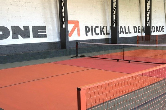 Imagem 1 da galeria do parceiro One Pickleball